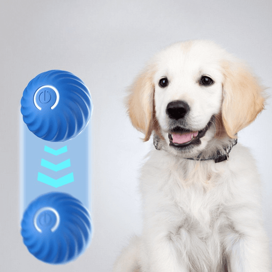 Bolinha Eletrônica Smart para Pets — Tecnologia e Diversão Infinita em Cada Movimento! 🔋🐾